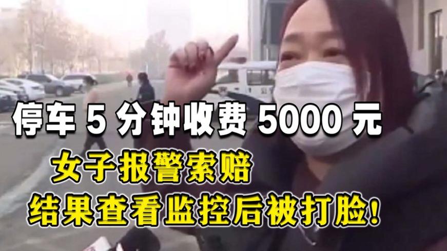停车5分钟被收5000元女子报警 调监控后尴尬了