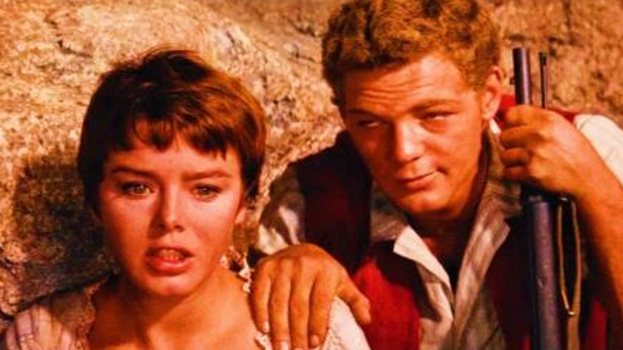 《海角乐园》：瑞士家庭荒岛求生与海盗对抗奇遇记