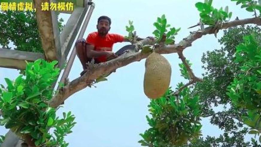 《菠萝蜜》：一场笑泪交织的正义追寻之旅