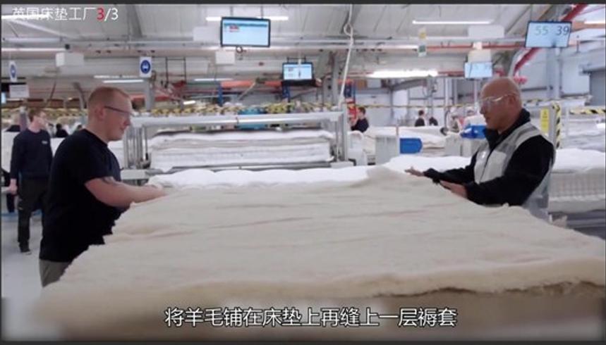 豪华床垫的诞生：从羊毛到成品的奇妙之旅