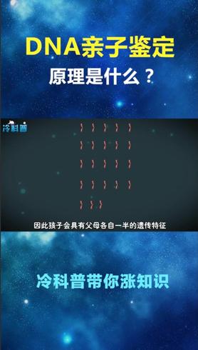 父母基因遗传奥秘：每代1.6%非亲生背后的科学真相