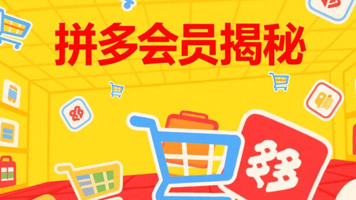 揭秘纪主任拼多多年费会员，开启电商盈利大门