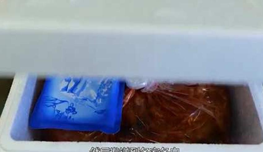 韩国泡菜工厂的制作过程与口味差异