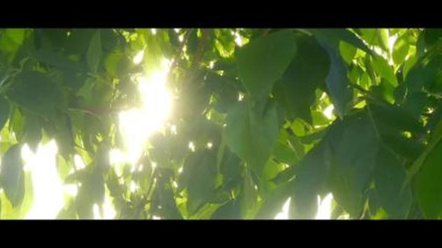 《无声》：聋哑校园里的隐秘伤痛与无声反抗