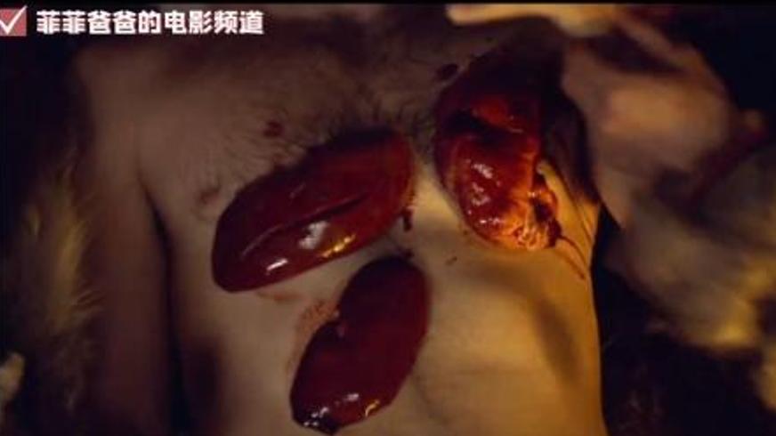 《极地重生》：14000公里的归家之路与人性之光