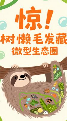 没想到！树懒的毛发竟是个微型生态圈