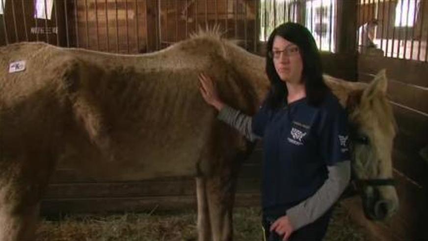 《吉雅丝和罗克珊》：跨越物种的羁绊与双向救赎