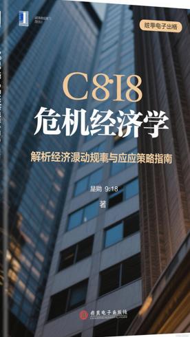 危机经济学：解析经济波动规律与应对策略指南