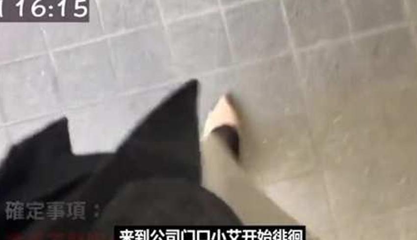 日本女社畜小艾的地狱般日常纪录