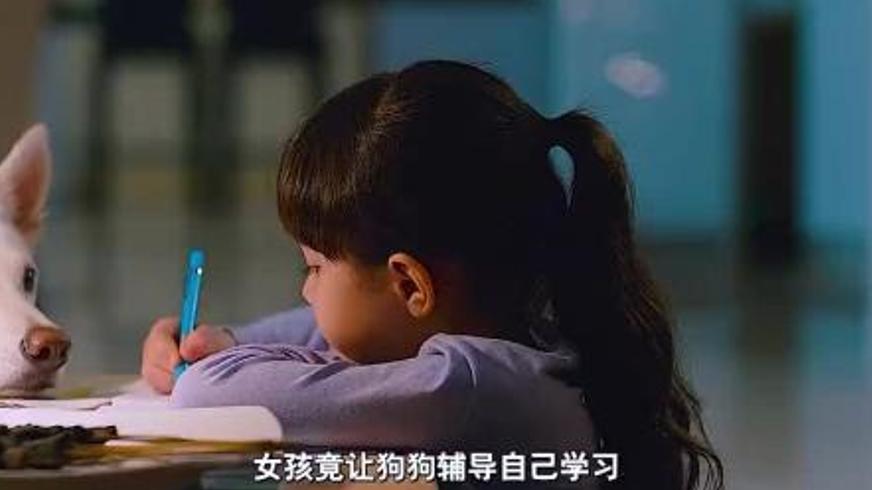 《我的流浪狗》：从街头弃犬到家庭福星的温暖羁绊