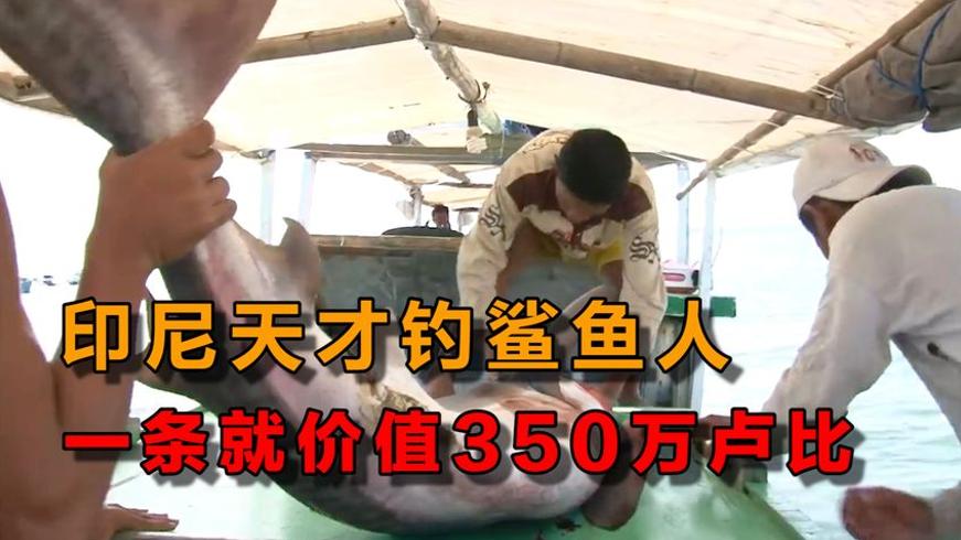 印尼火山岛原始部落：捕鲸抓鲨的海洋生存传奇