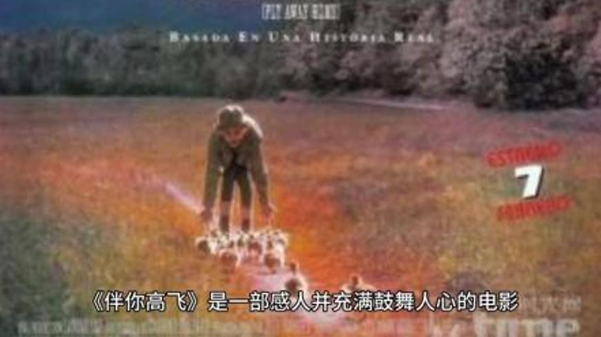 《伴你高飞》：少女与雁群的跨大陆迁徙奇幻之旅