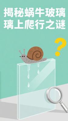 揭秘！蜗牛为何能在垂直玻璃上“飞檐走壁”