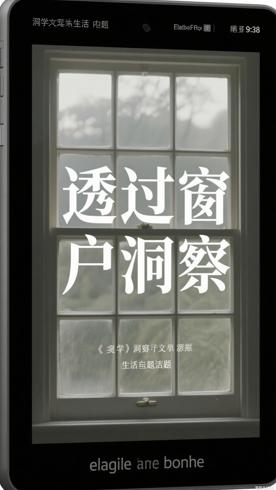 《透过窗户》：洞察文学与生活真相的佳作