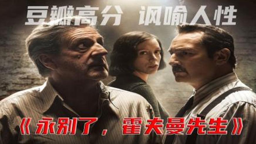 《永别了，霍夫曼先生》：战火中的人性博弈与救赎之路