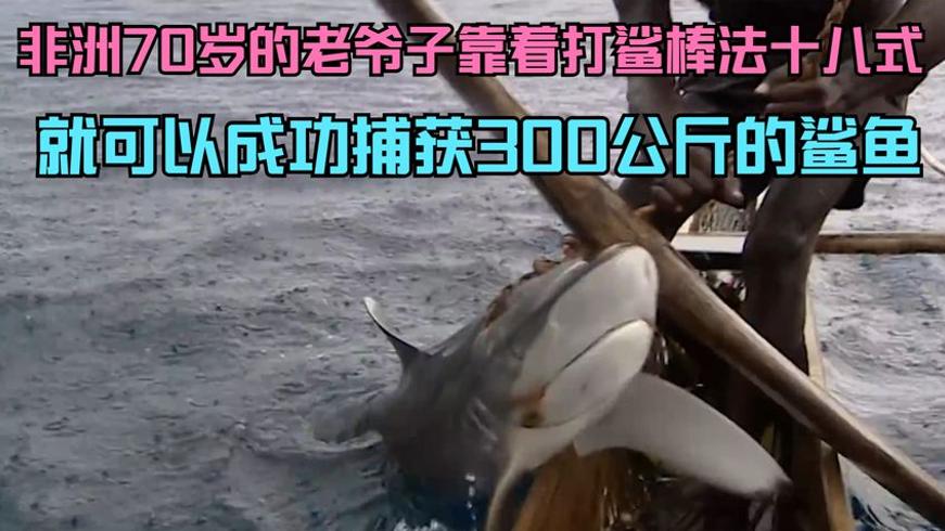 非洲部落首领与鲨鱼的徒手博弈传奇