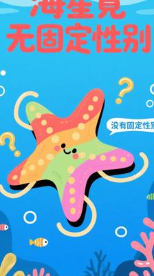 探秘海洋冷知识：《海星》竟然没有固定性别？