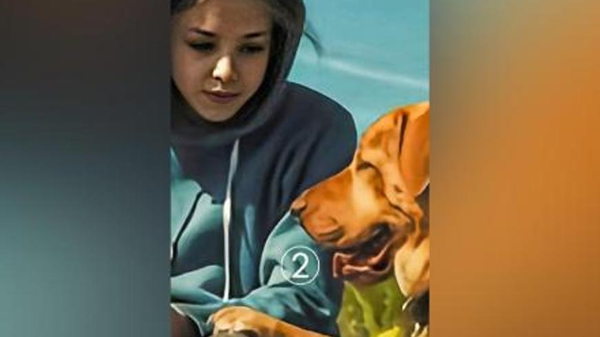 《白色上帝》：从温顺宠物到复仇领袖的残酷蜕变