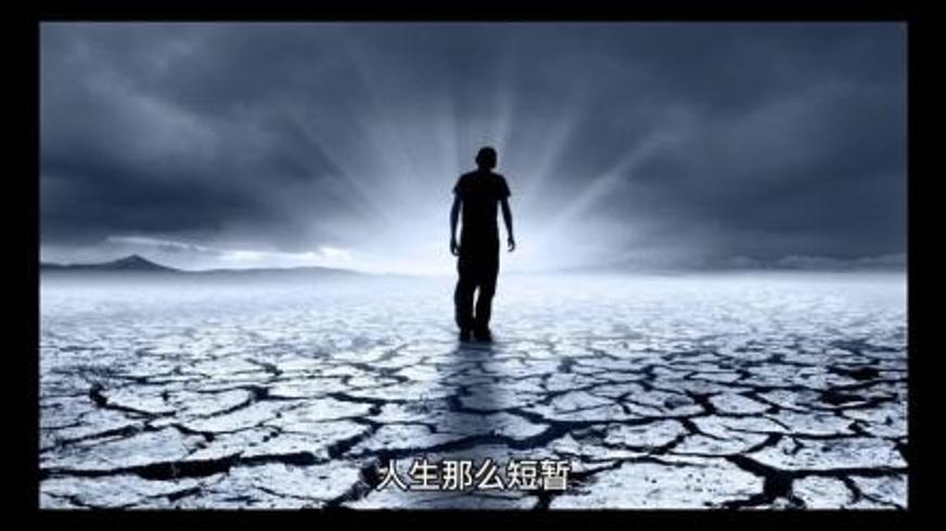 《人生感悟集》：在平凡岁月中找寻生活的真谛