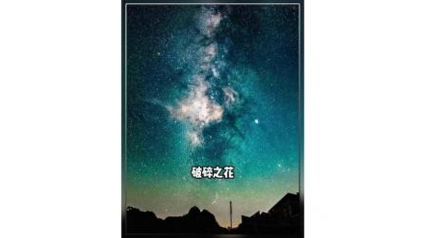 《破碎之花》：寻子路上的时光碎片与自我救赎