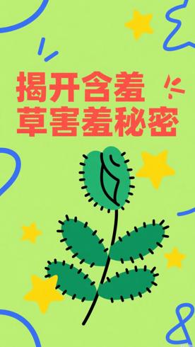 含羞草害羞背后的科学小秘密