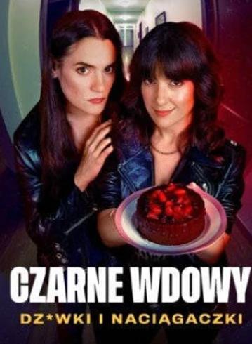 《黑寡妇风月陷阱》：西班牙风情下的高能犯罪剧集