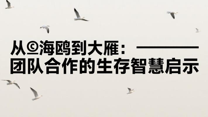 从海鸥到大雁：团队合作的生存智慧启示