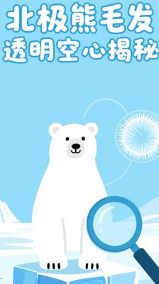 揭秘！看似雪白的北极熊毛发竟是透明空心的