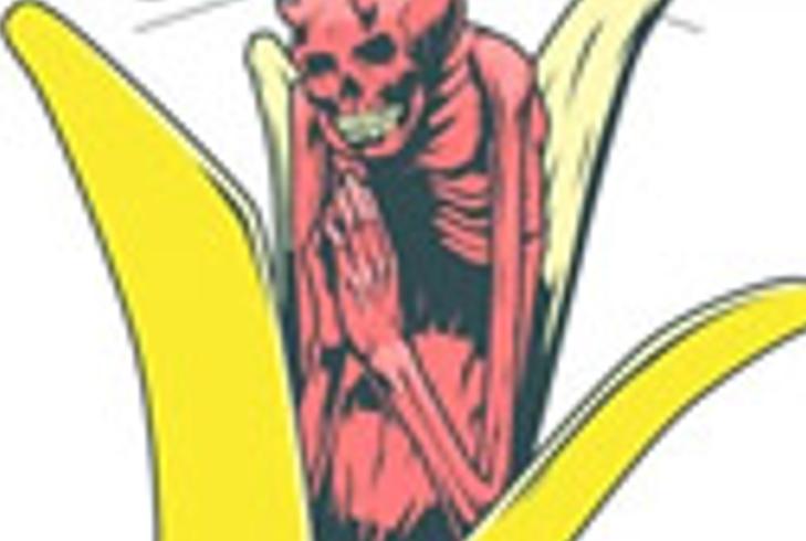 《政校谜影：泛黄报纸背后的致命邂逅》