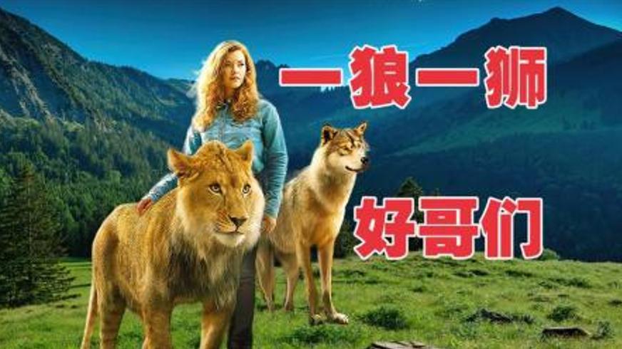 《狼与狮子》：跨越物种的羁绊与对自由的深情告白
