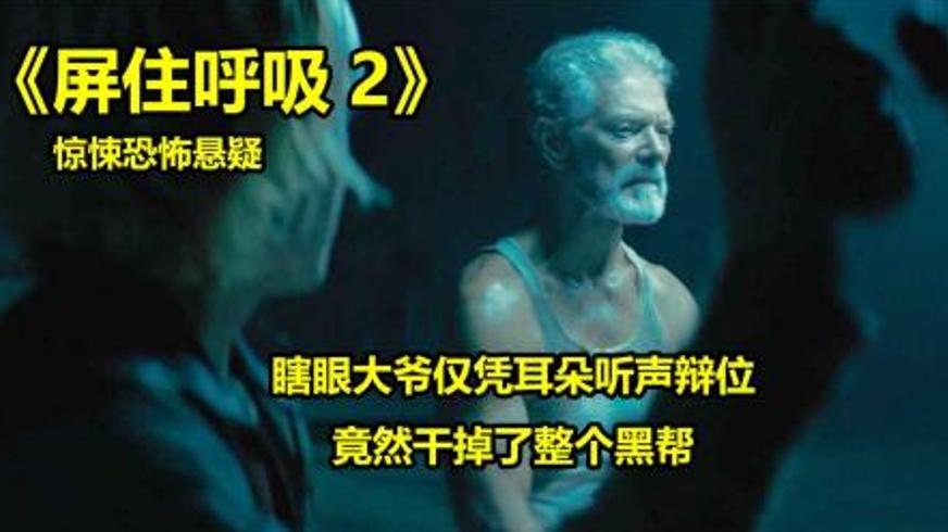 《屏住呼吸2》：盲眼老兵与养女的生死保卫战