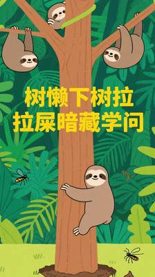 树懒冒死下树拉屎？这波操作背后藏着大学问！