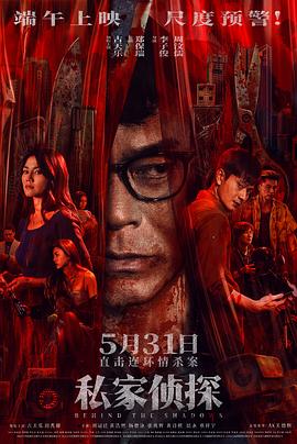 私家侦探 私家偵探_电影