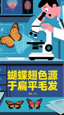 惊！蝴蝶翅膀绚丽色彩竟源于微小扁平毛发