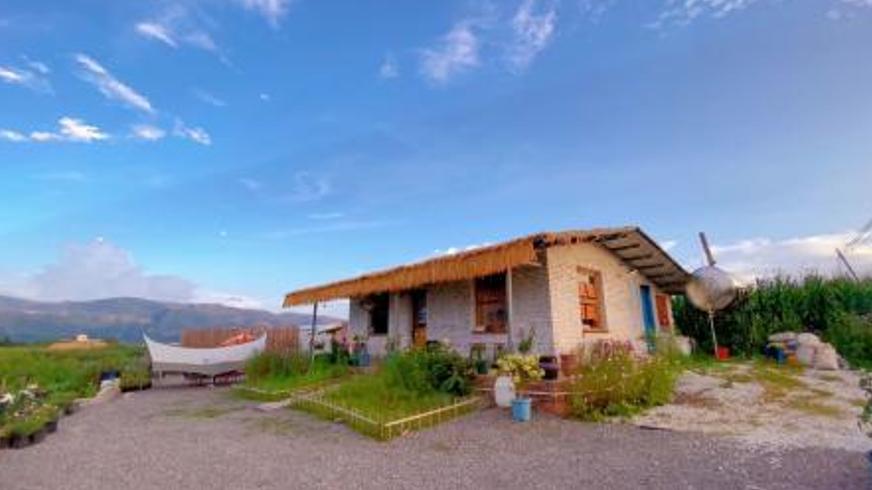 《婚礼小屋》：在时光修缮中绽放的爱情之花