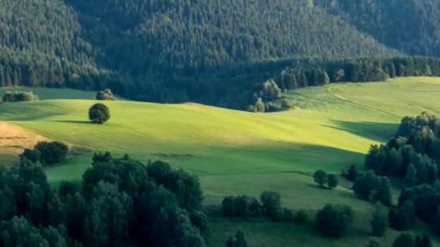 电影与人生交织的箴言：关于爱成长与现实的顿悟