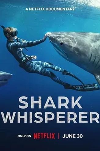 《鲨语者》：探秘人鲨和谐共生与海洋保护