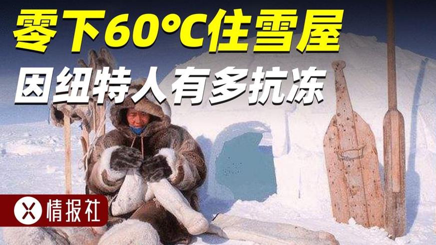 因纽特人零下三十度的生存日常：钓海豹生吃抗寒