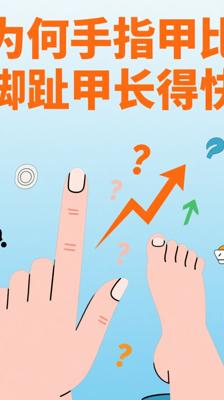 冷知识：为什么你的手指甲比脚趾甲长得快？