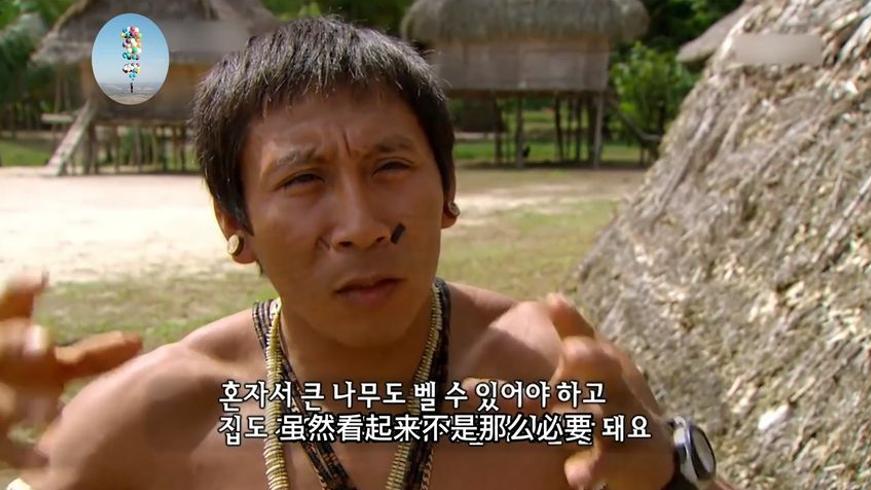 韩国荒岛海虹猎人：悬崖采贝与海上求生实录