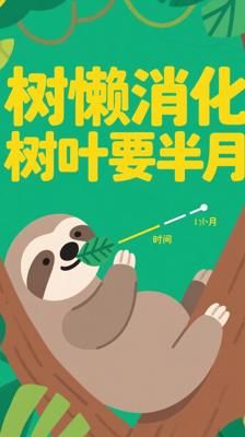 揭秘！树懒消化一片树叶竟要半个月太绝了