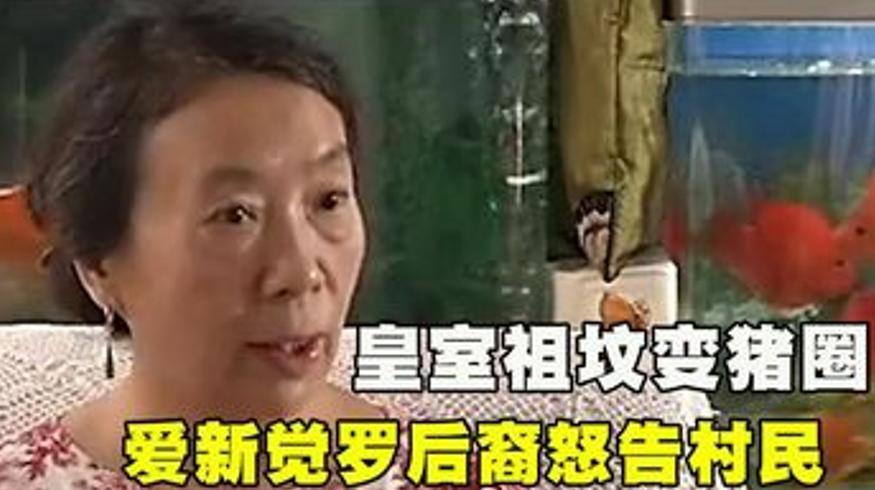 2013年皇族后裔土地争端：祖坟上的违建与姓氏特权闹剧