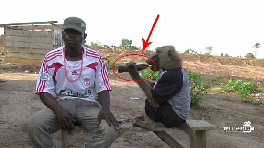 尼日利亚驯兽师：骑鬣狗逗狒狒的街头杂技谋生记
