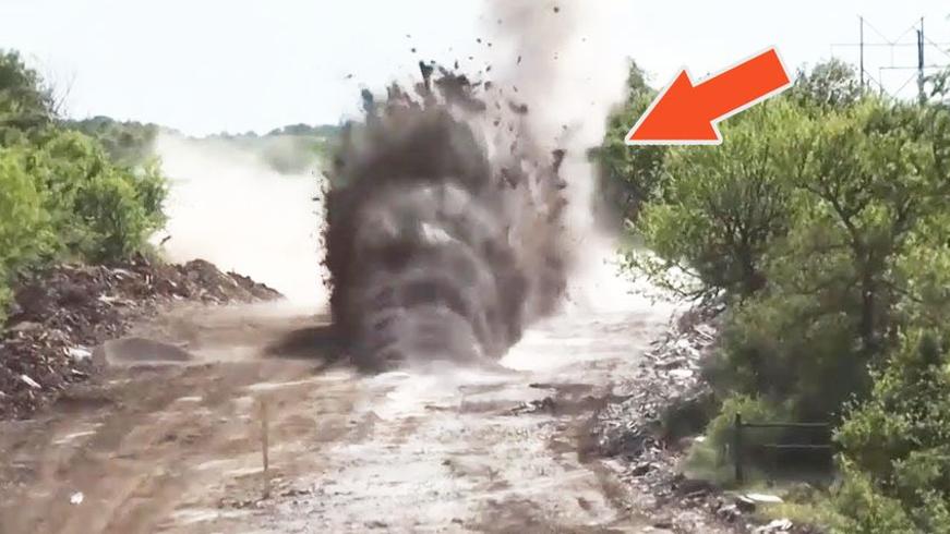 人生首次见闻：令人称奇的五种独特事物