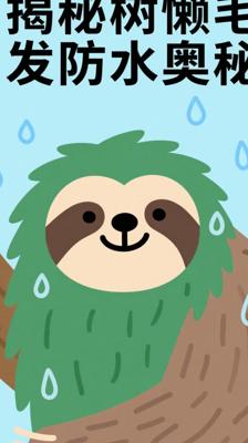 神奇！树懒毛发如何成为“天然防水雨披”大揭秘