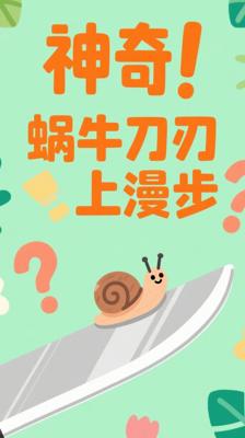 神奇！蜗牛为何能在刀刃上淡定漫步？