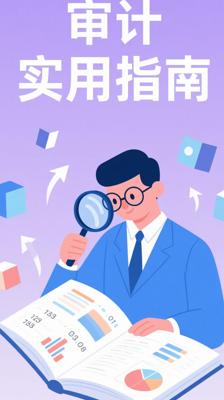 《让数字说话：审计，就这么简单》：审计领域的实用指南
