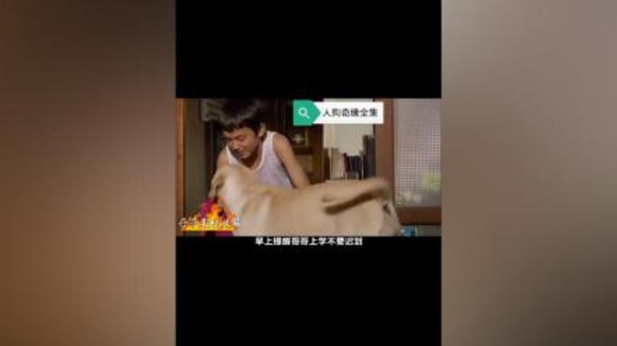 《人狗奇缘》：跨越生死的忠诚与救赎之旅