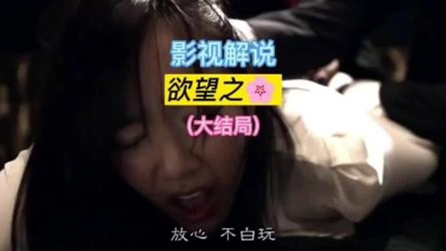 《夜关门：欲望之花》：欲望交织的复仇与救赎悲歌