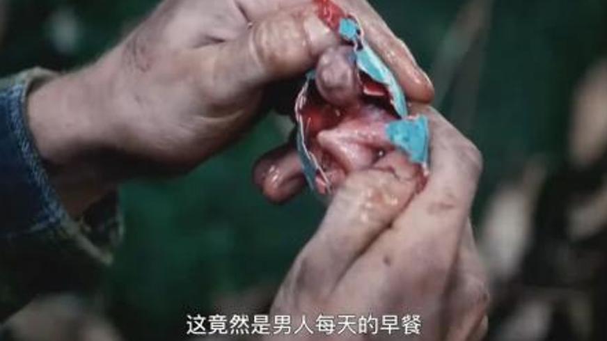 《丛林》：19天亚马逊绝境求生的真实传奇